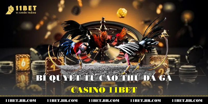 Màu Mạng Đá Gà - Bí Quyết Chiến Thắng Tại 11BET 4 Bí quyết từ cao thủ đá gà 11BET