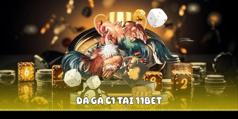 Đỉnh Cao Đá Gà C1 Tại Nhà Cái 11BET 2 Đá gà C1 tại 11BET