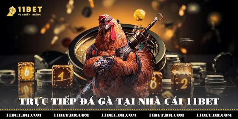 Giải Trí Đỉnh Cao Với Trực Tiếp Đá Gà Tại 11BET 3 Trực tiếp đá gà tại nhà cái 11BET